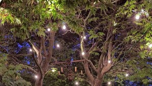 An outdoor seating area with a table and chairs under a tree, surrounded by stone walls and string lights.