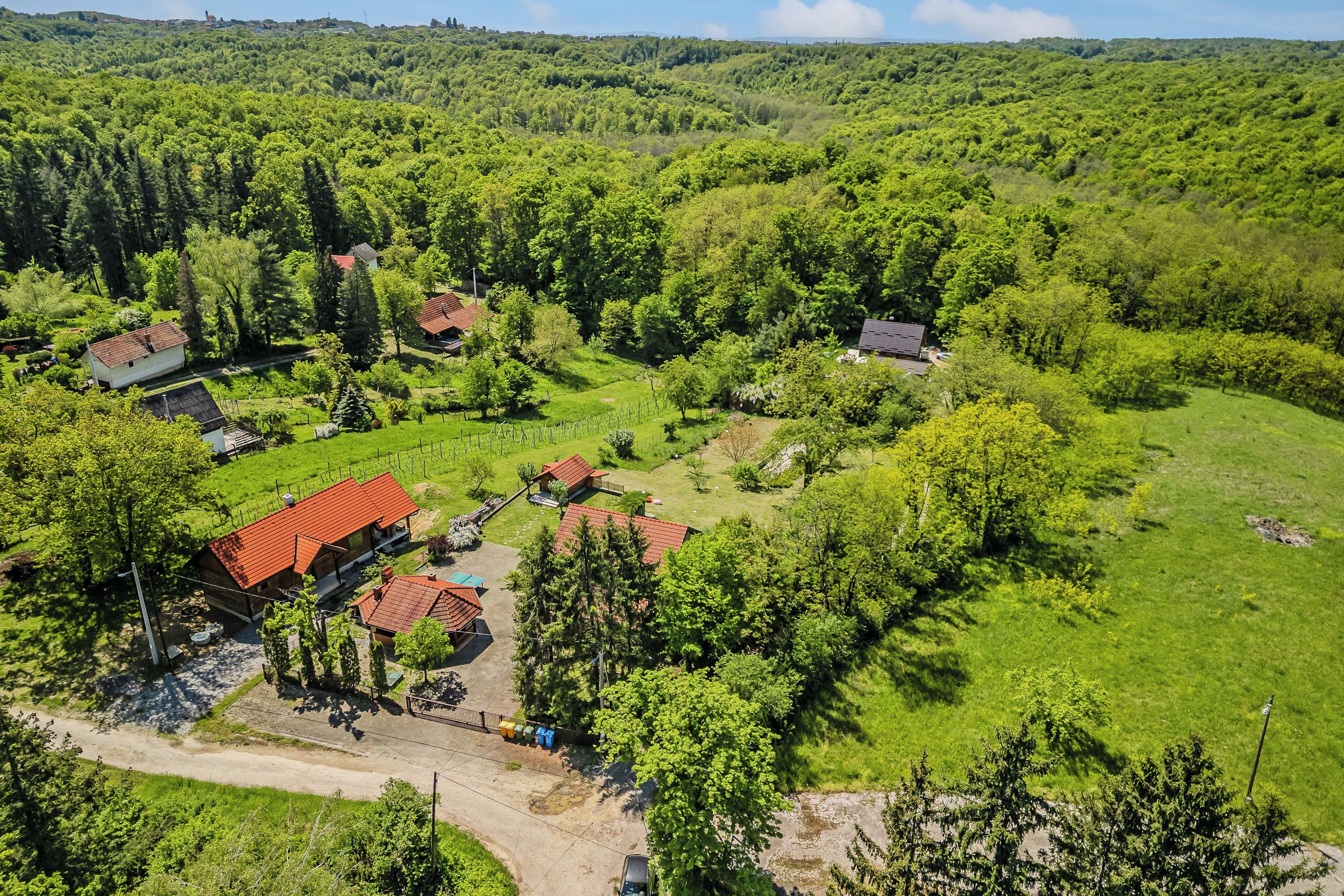 An aerial view of a rural area with several houses, green fields, and trees.