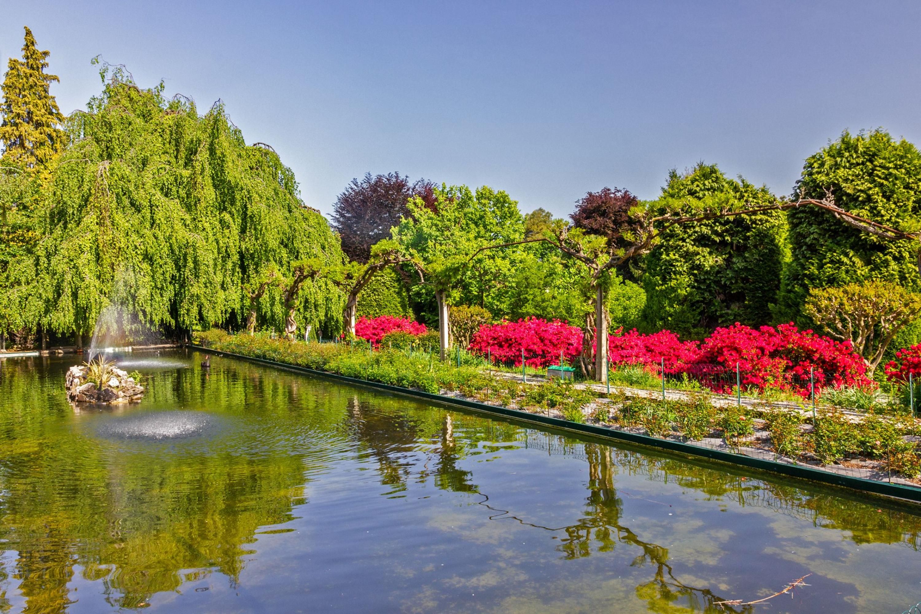 Un jardin paisible avec un étang, une végétation luxuriante et des fleurs rouge vif.