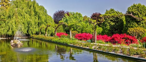 A tranquil garden with a pond, lush greenery, and vibrant red flowers.