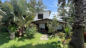 Una casa con jardín, una palmera y un camino de ladrillo que lleva a la entrada.