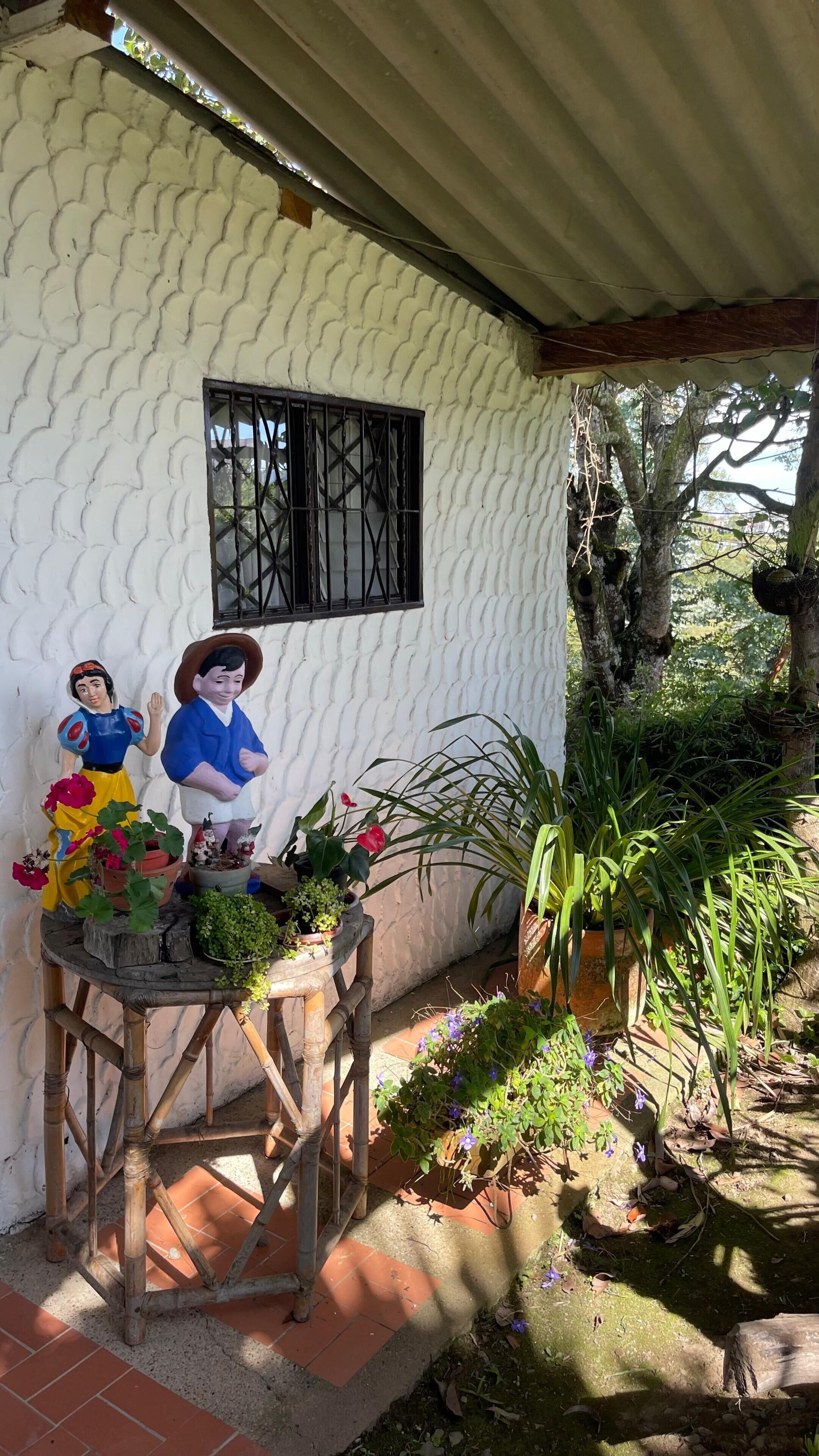 Uma casa com fachada branca e texturizada, uma janela com barras pretas e plantas ao ar livre.
