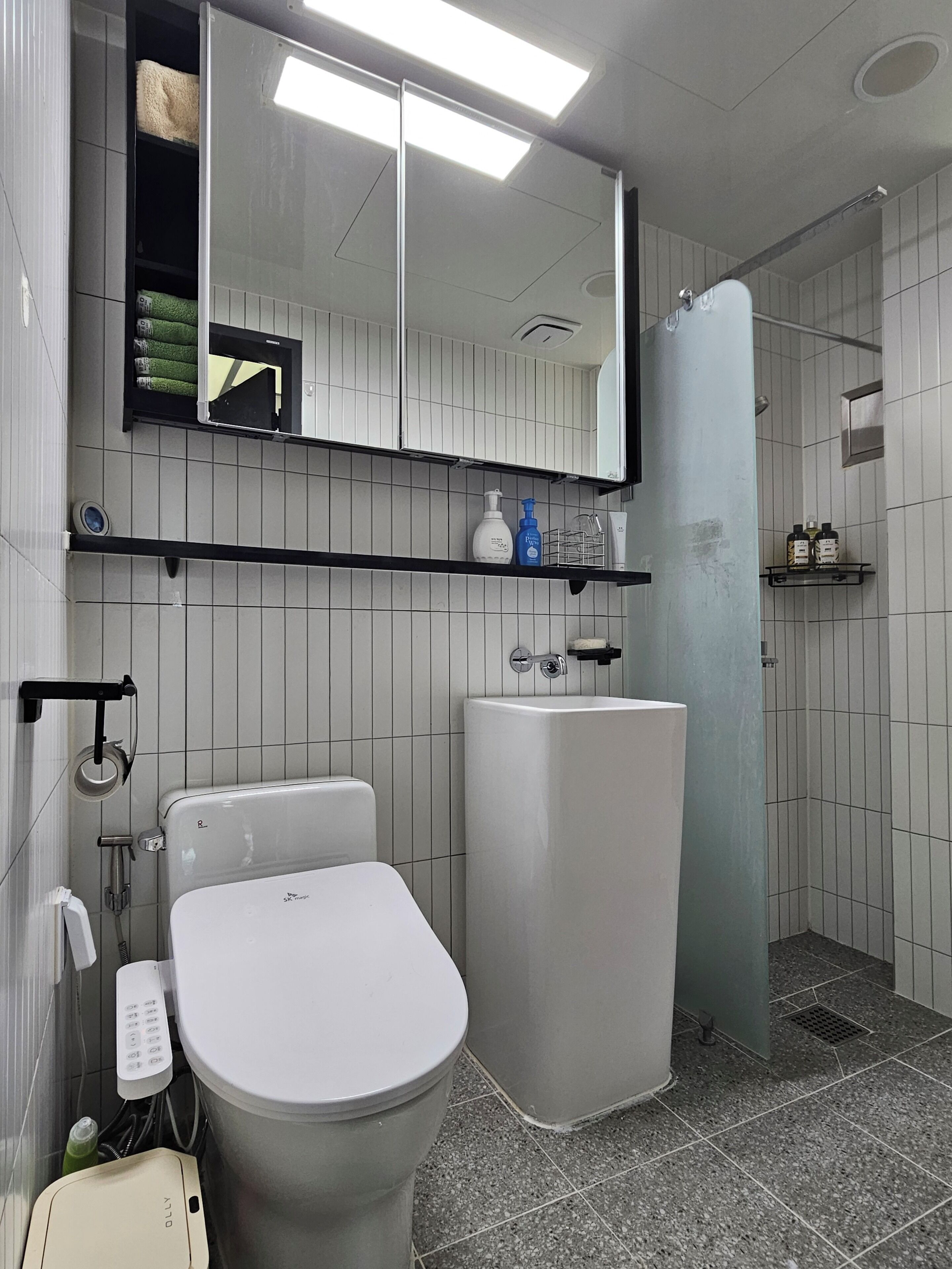Shower, hair dryer, bidet, towels