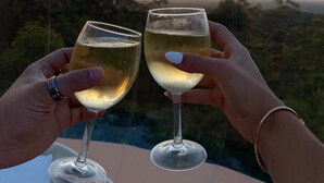 Two hands holding wine glasses with a scenic view of trees and a sunset in the background.