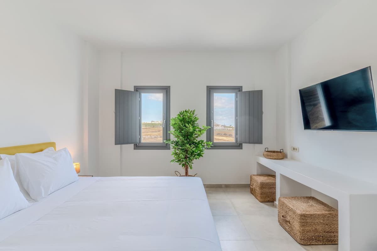 A bedroom with a bed, two windows, a plant, and a TV on the wall.