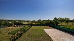 A rural landscape with a gravel path, green fields, and trees.