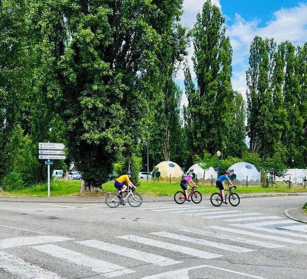 A road with cyclists, trees, and a sign indicating directions to Zornhof and Artisatan.