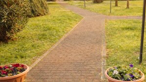 Ein gepflasterter Weg, der durch eine bepflanzte Grünfläche führt, gesäumt von Pflanzen in Töpfen.