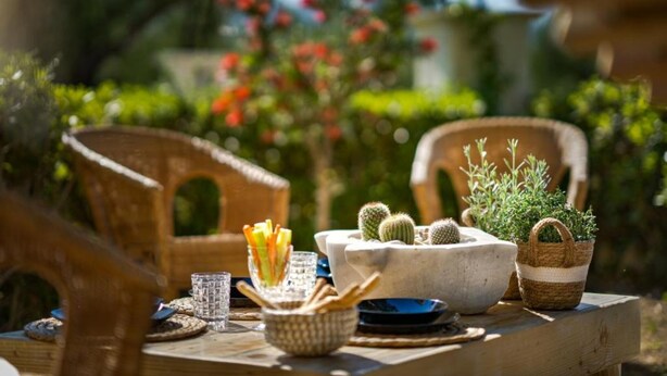 Une table en bois, un panier, un bol rempli de cactus, une chaise en osier et une petite plante en pot.