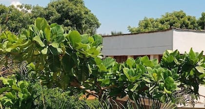 The Darad House Diani