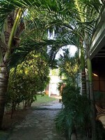 Un sendero flanqueado por palmeras y una edificación.