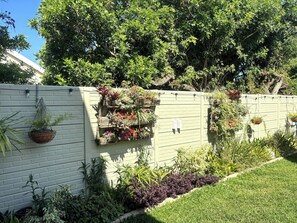 Property grounds - Self-catering Pool-side Guesthouse (Cape Town)