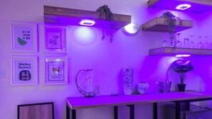 A room with a long table, framed pictures on the wall, hanging plants, and shelves with glassware.
