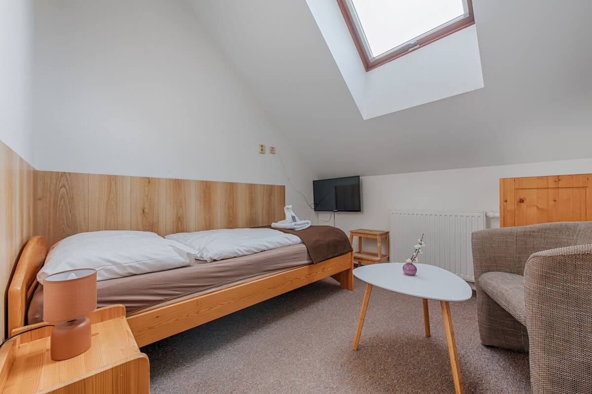 A bedroom with a wooden bed, a small table, a chair, a TV, and a skylight.