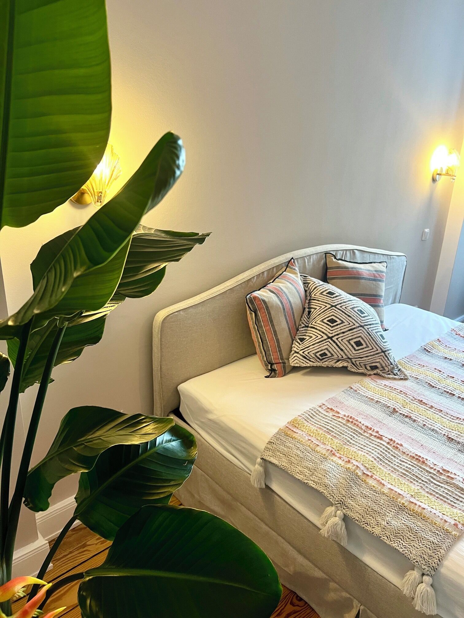 Un lit avec des coussins à motifs, une couverture texturée et une plante à côté.