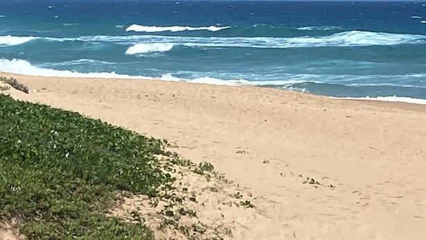 A beach with waves, sand, and some greenery. - Modern Coastal Escape in Salt Rock Ballito - Perfect Family Retreat (Ballito)