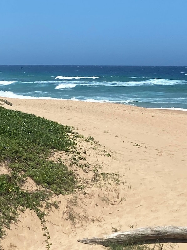 A beach with waves, sand, and some greenery. - Modern Coastal Escape in Salt Rock Ballito - Perfect Family Retreat (Ballito)