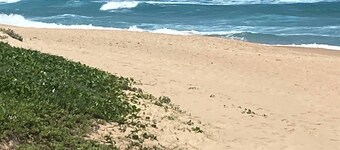 Modern Coastal Escape in Salt Rock Ballito - Perfect Family Retreat