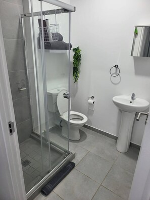 Apartment, 2 Bedrooms, Accessible, Balcony | Bathroom