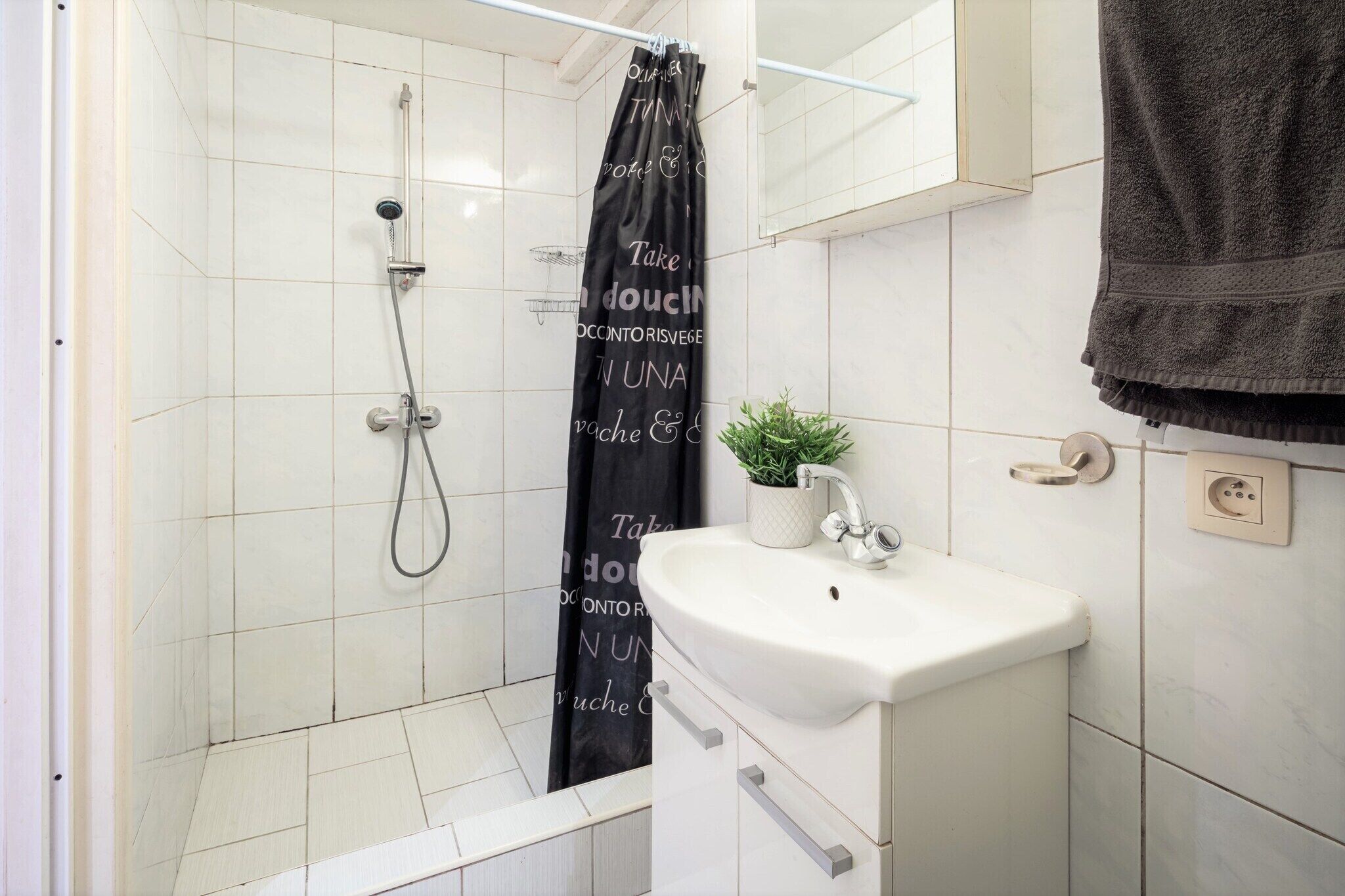 Chuveiro, secador de cabelo, toalhas de banho 