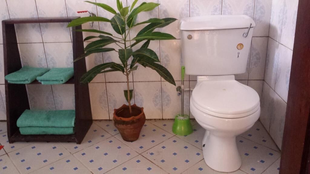 Departamento familiar, vista al jardín | Baño | Regadera, pantuflas, toallas, jabón 