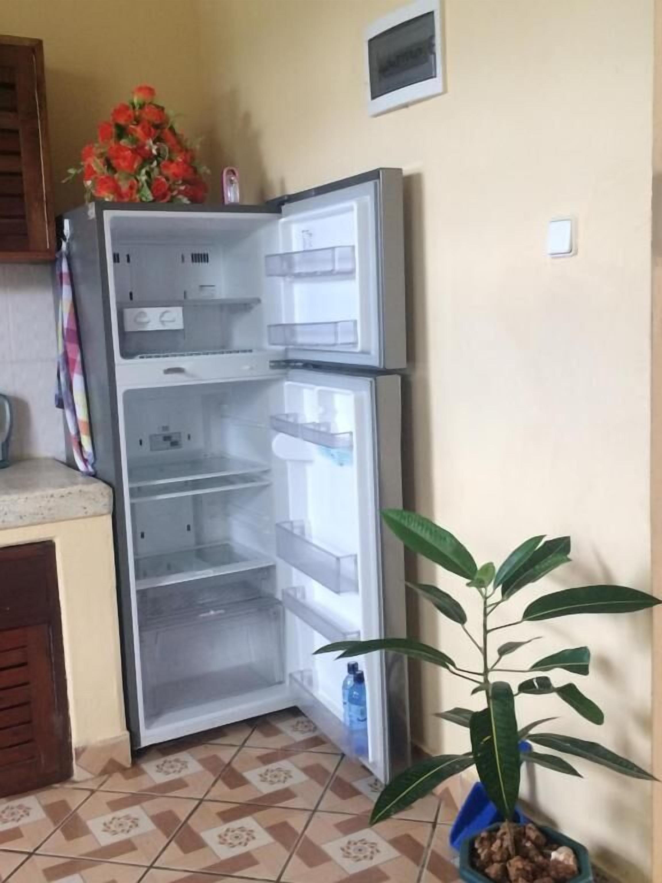 Frigorifero aperto con diversi ripiani, una pianta in vaso e un pavimento piastrellato.