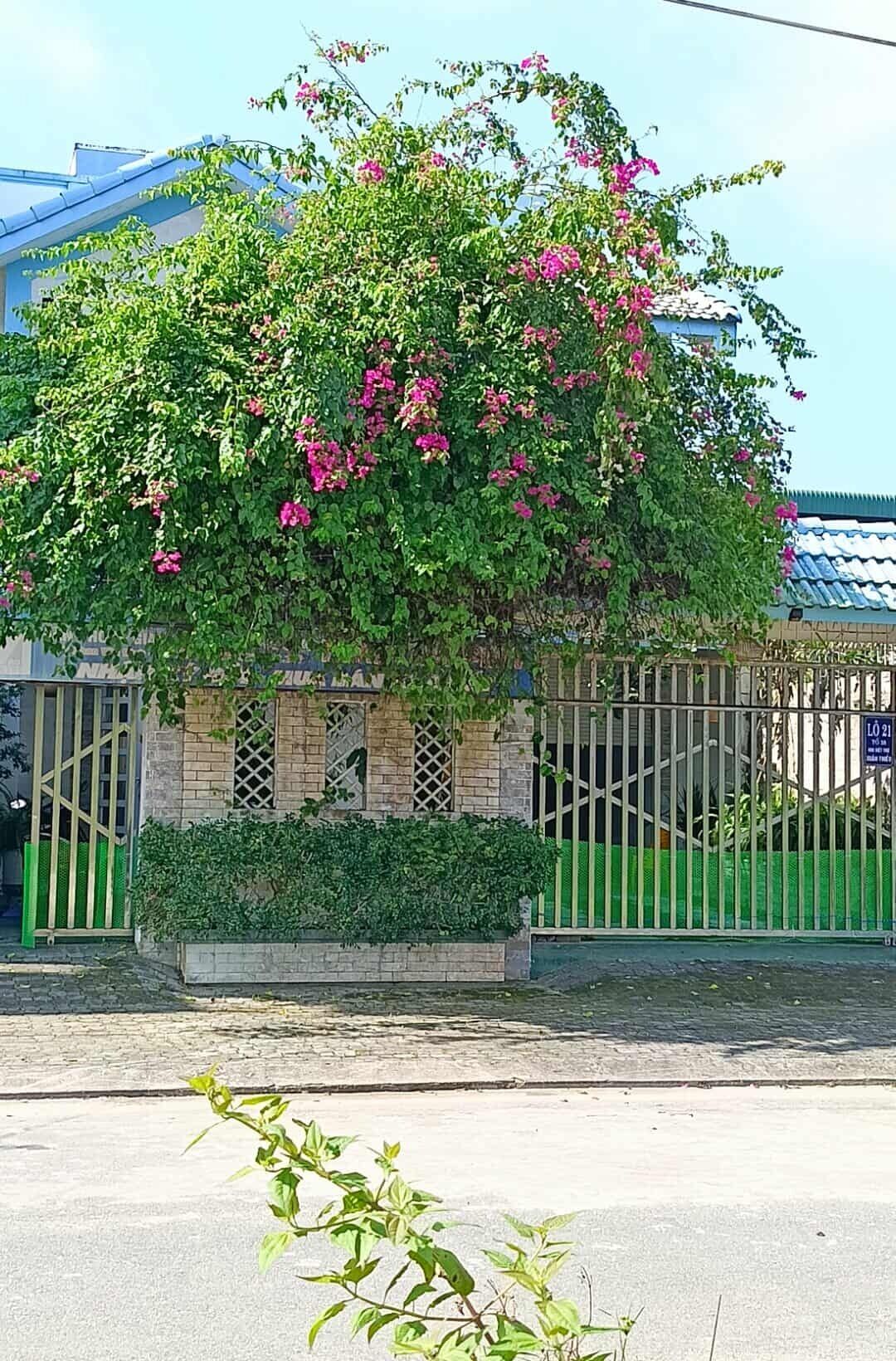 Exterieur