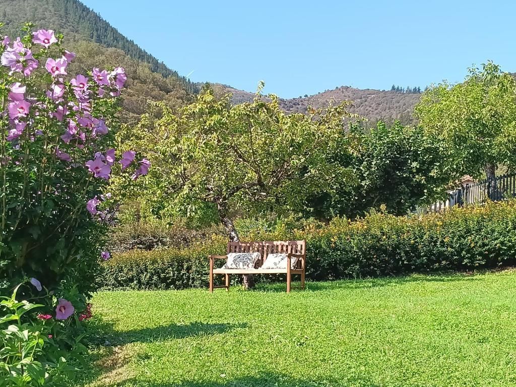 A bench in a grassy area with a mountain backdrop.