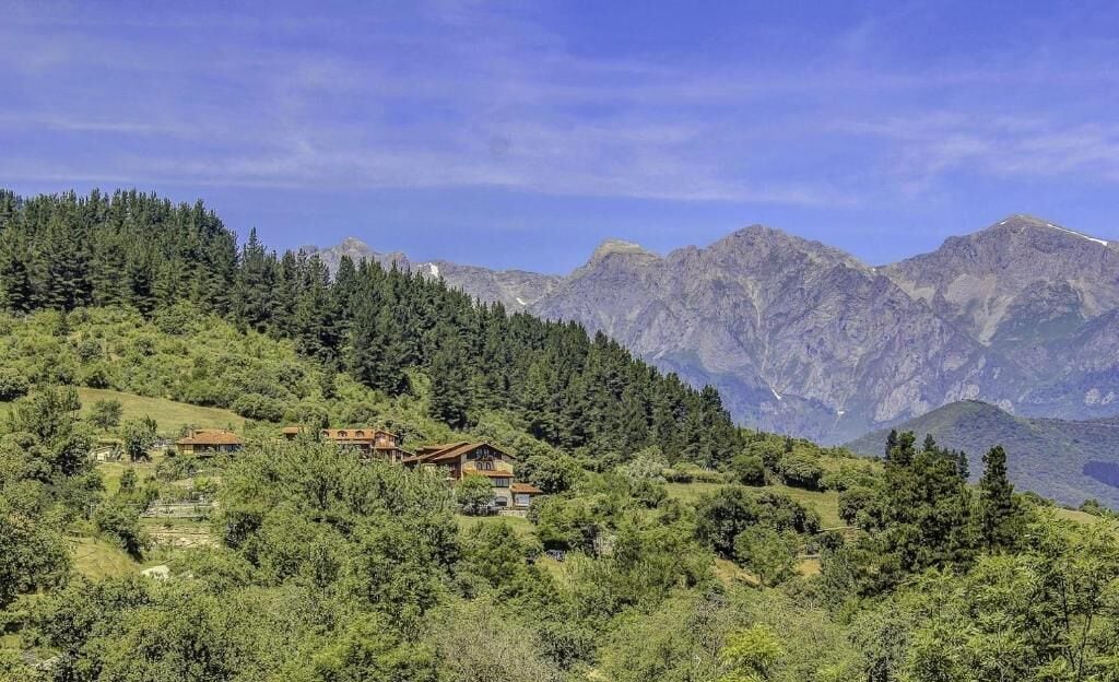 Een bergachtig landschap met een huis, omringd door dicht bos en rotsachtige toppen.
