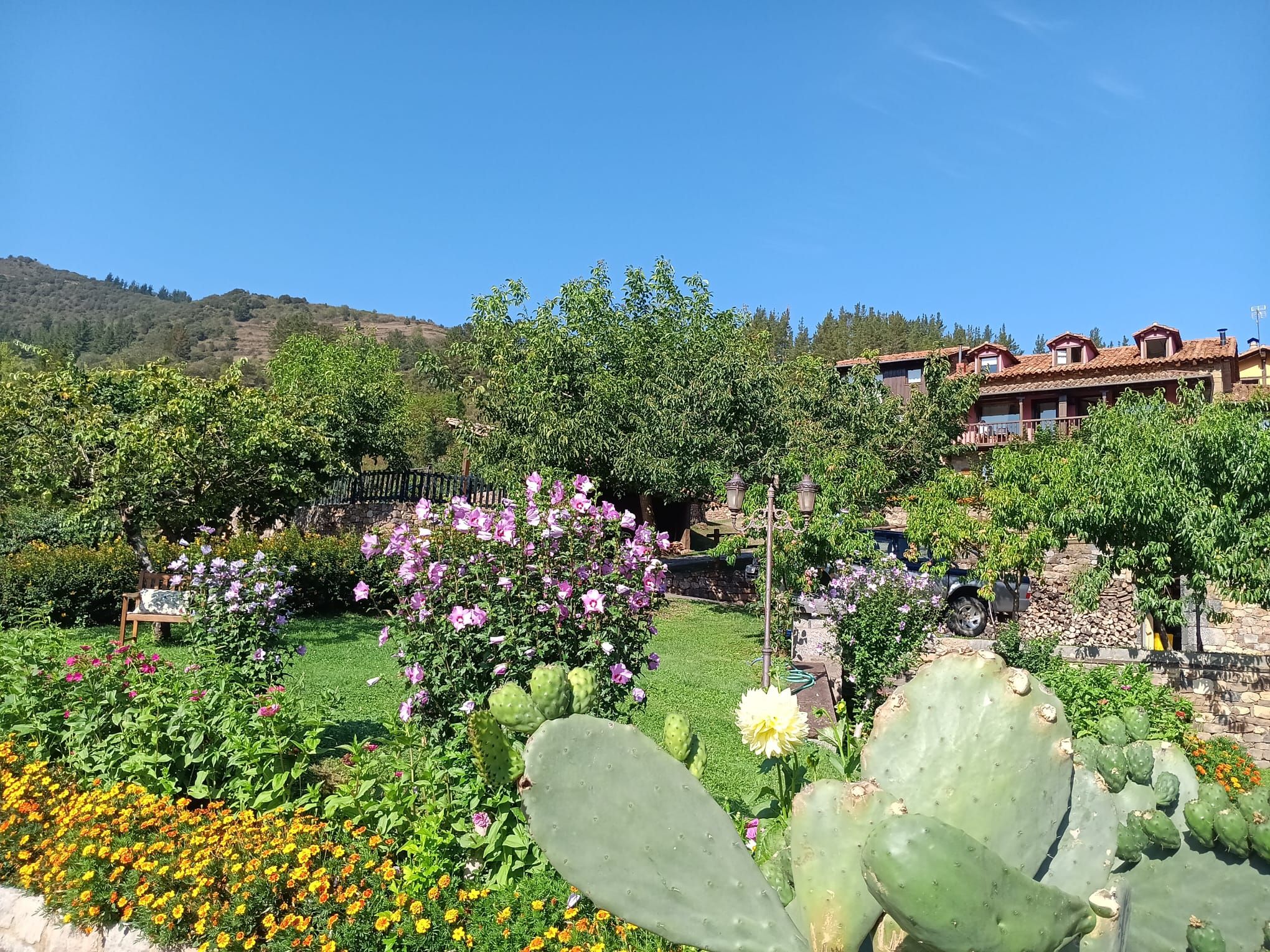 A garden with cacti and flowers, a bench, and a building with a red roof.