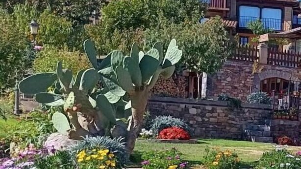 A garden with cacti and colorful flowers, a stone wall, and a building with multiple balconies and red-tiled roofs. - apartamentos calm and nature (Cabezón de Liébana)