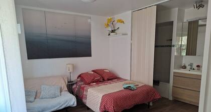 GDE CHAMBRE STUDETTE CONFORT AUTONOME AVEC SDB ET WC NICE TERRASSE PRIVEE