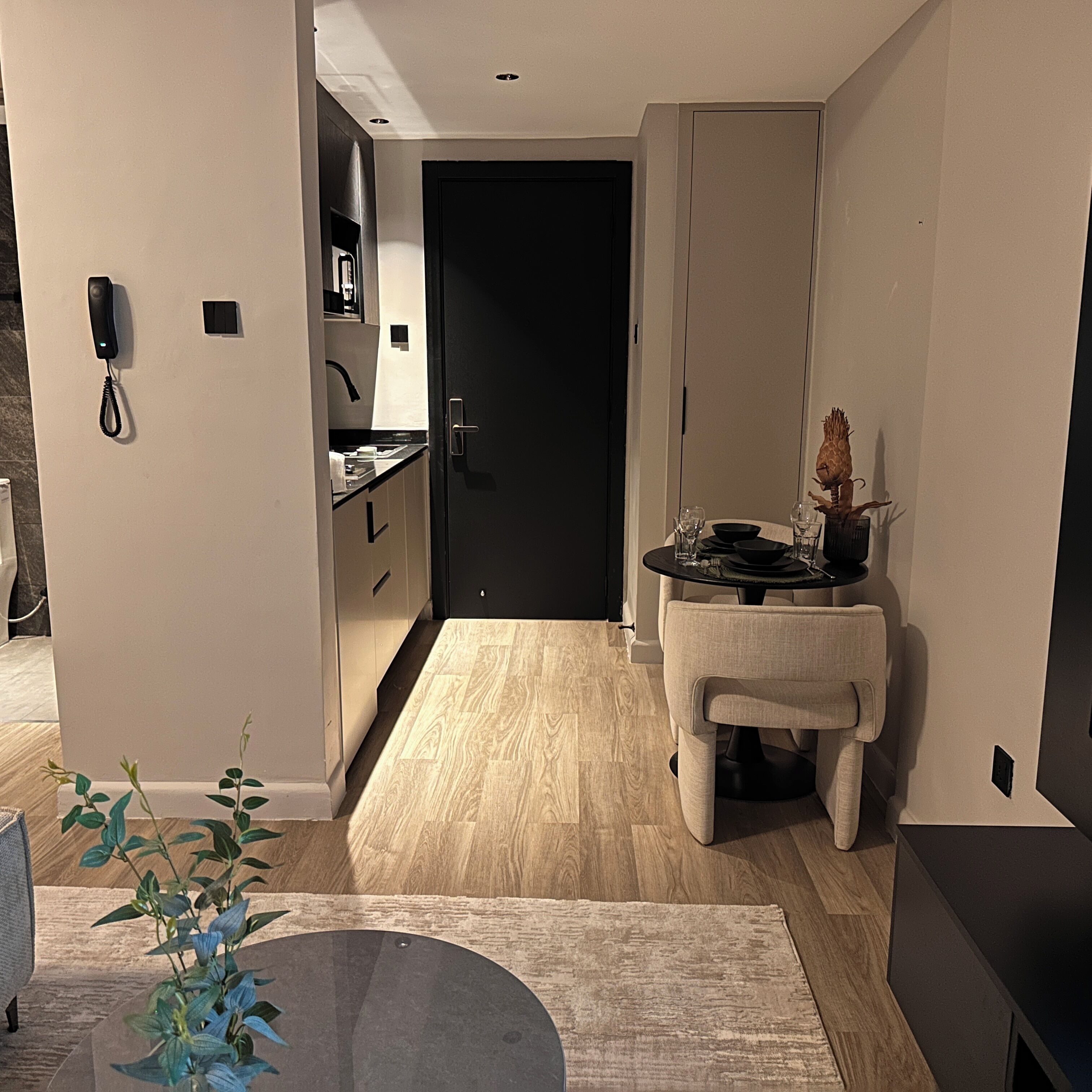 Una cocina moderna con una puerta oscura, un área de comedor con una mesa y sillas, y una planta sobre una mesa.