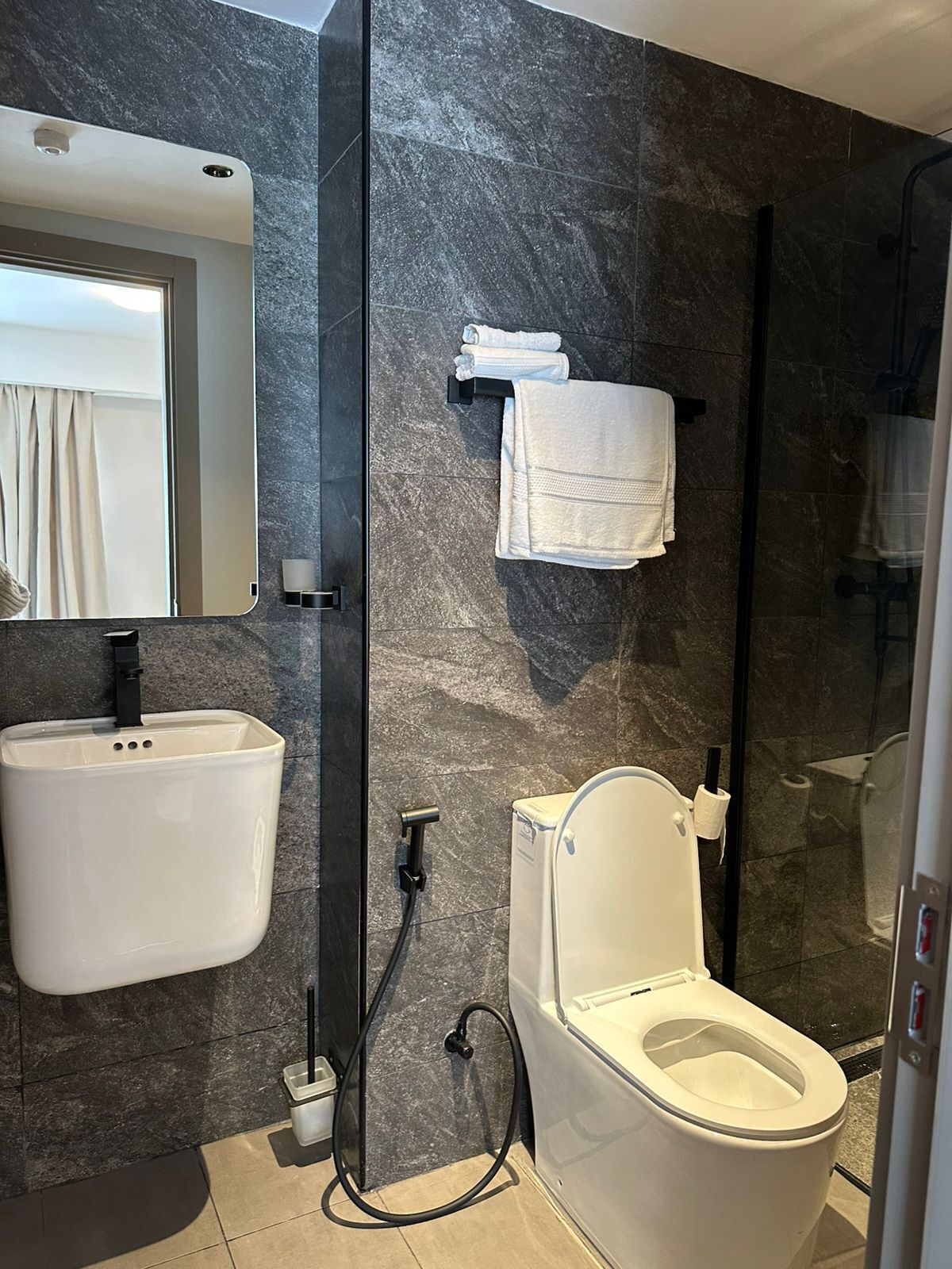 A modern bathroom with a white sink, a toilet, and a glass shower enclosure.