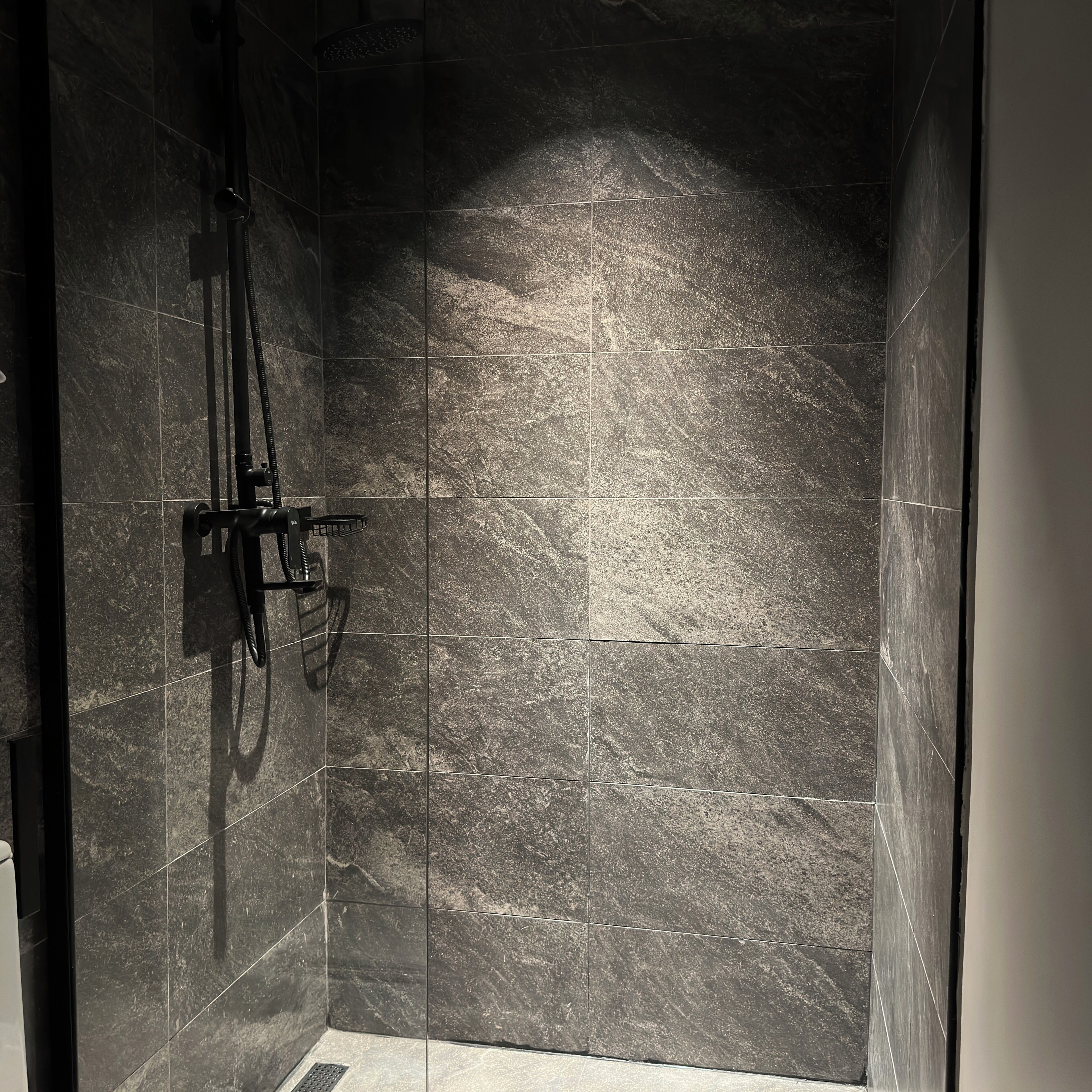 Un espace douche doté d’une porte en verre, d’un pommeau de douche à main et d’un panneau de commande.