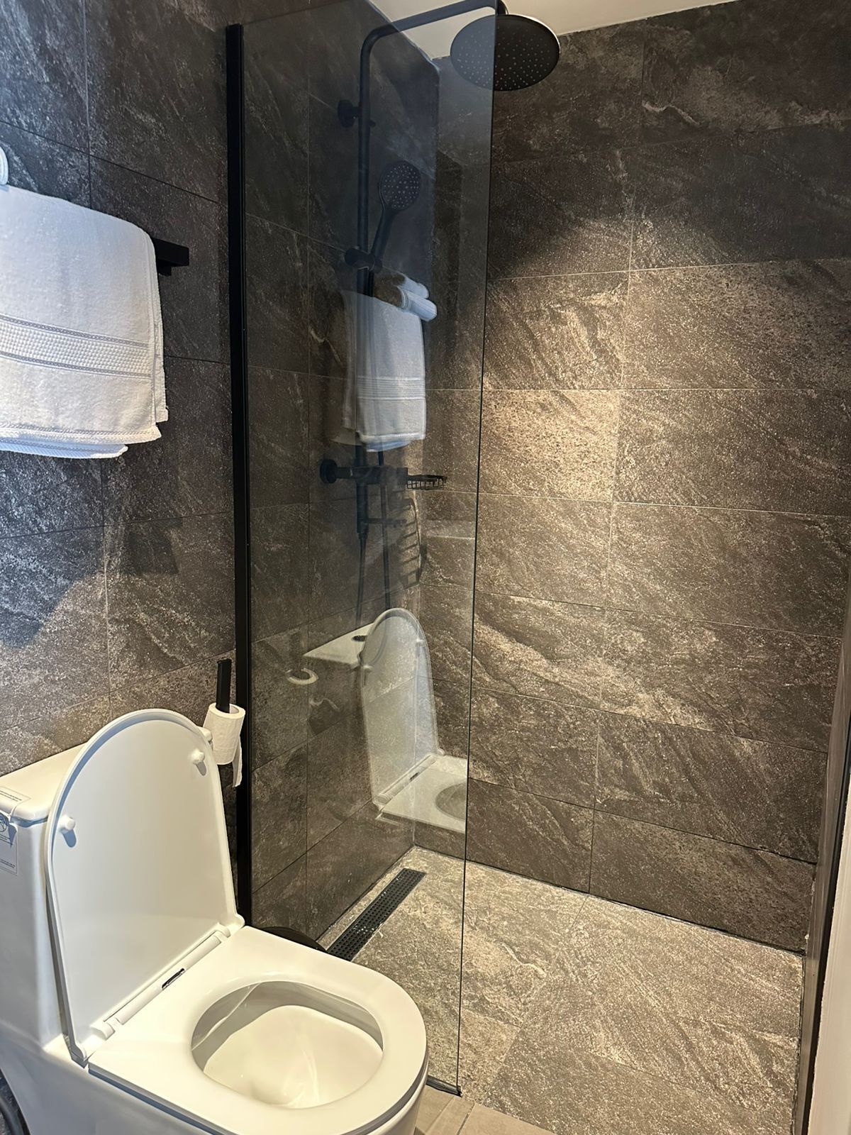 Un baño moderno con ducha de vidrio, inodoro y perchero para toallas.