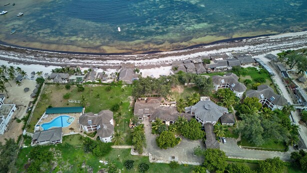 Vista aérea de una zona residencial costera con casas, una piscina y una playa.