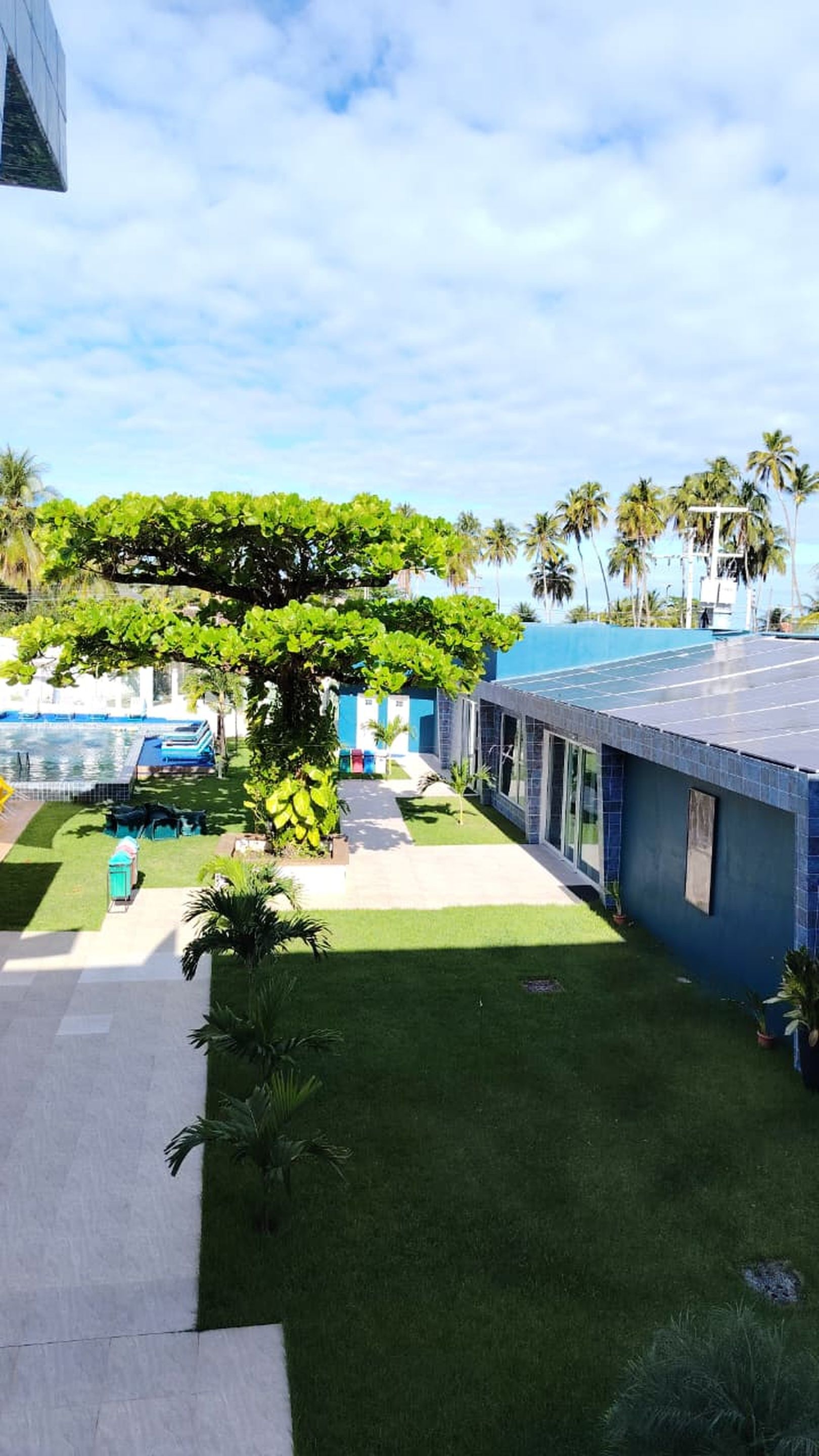 Un hotel con piscina, un espacio exterior cubierto y vistas a palmeras.