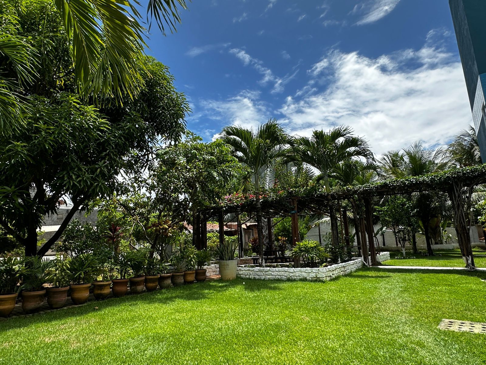 A well-maintained garden with a variety of plants and a clear blue sky.