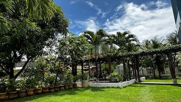 A well-maintained garden with a variety of plants and a clear blue sky.