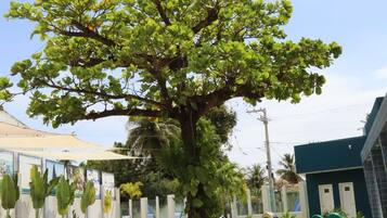 A large tree in a grassy area with playground equipment including a slide and swings.