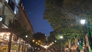 A cobblestone street lined with trees and illuminated by street lamps. - Cathedral Park in lovely Chișinău (Chișinău)
