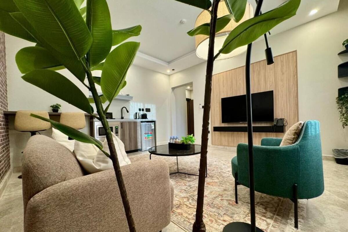 A modern living room with a sofa, a green armchair, a coffee table, and a large plant.