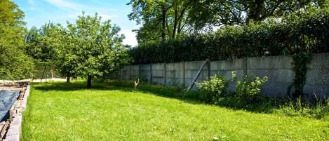 Un espacio cubierto de césped con árboles y un muro de concreto.