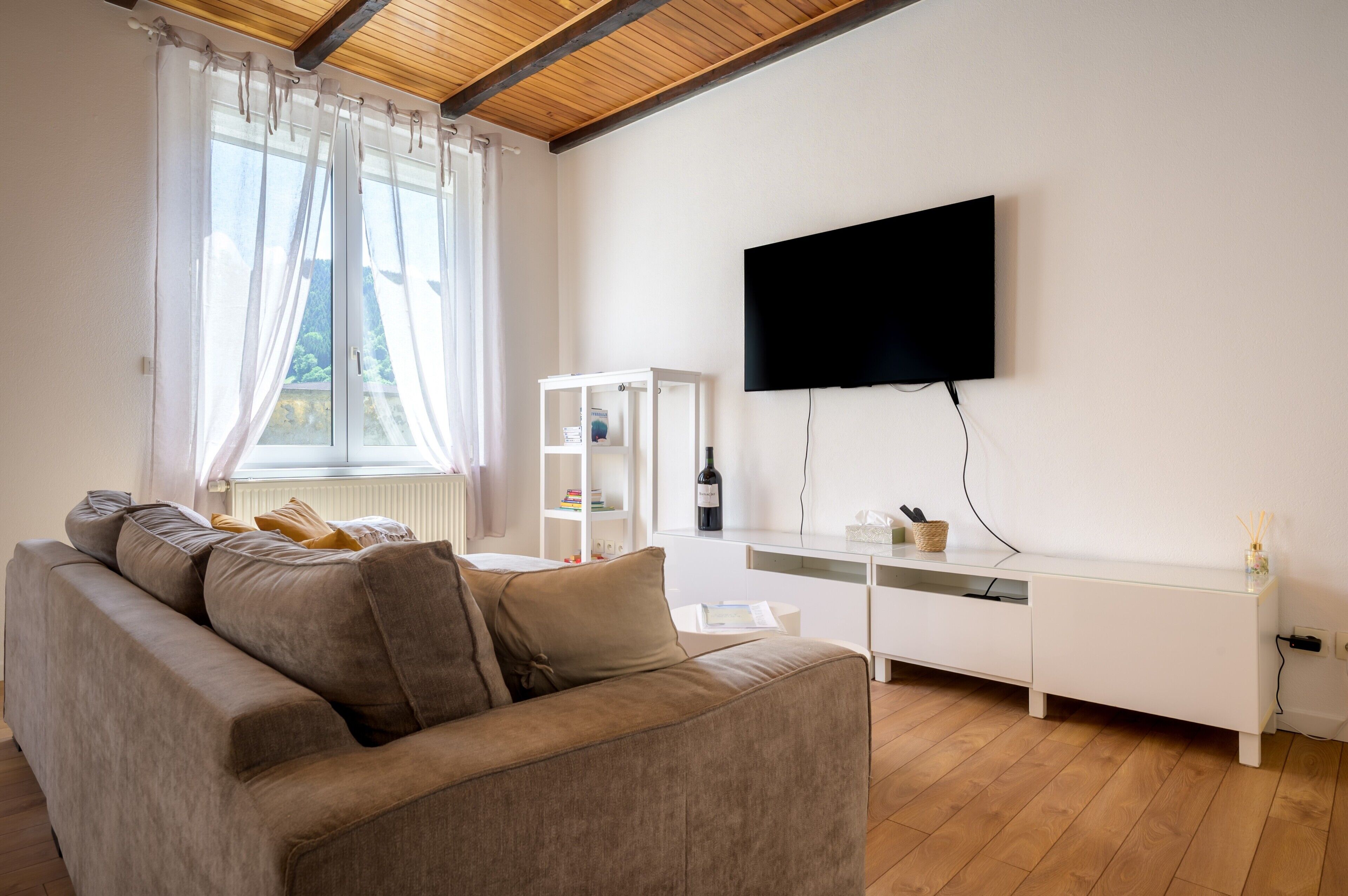 TV
