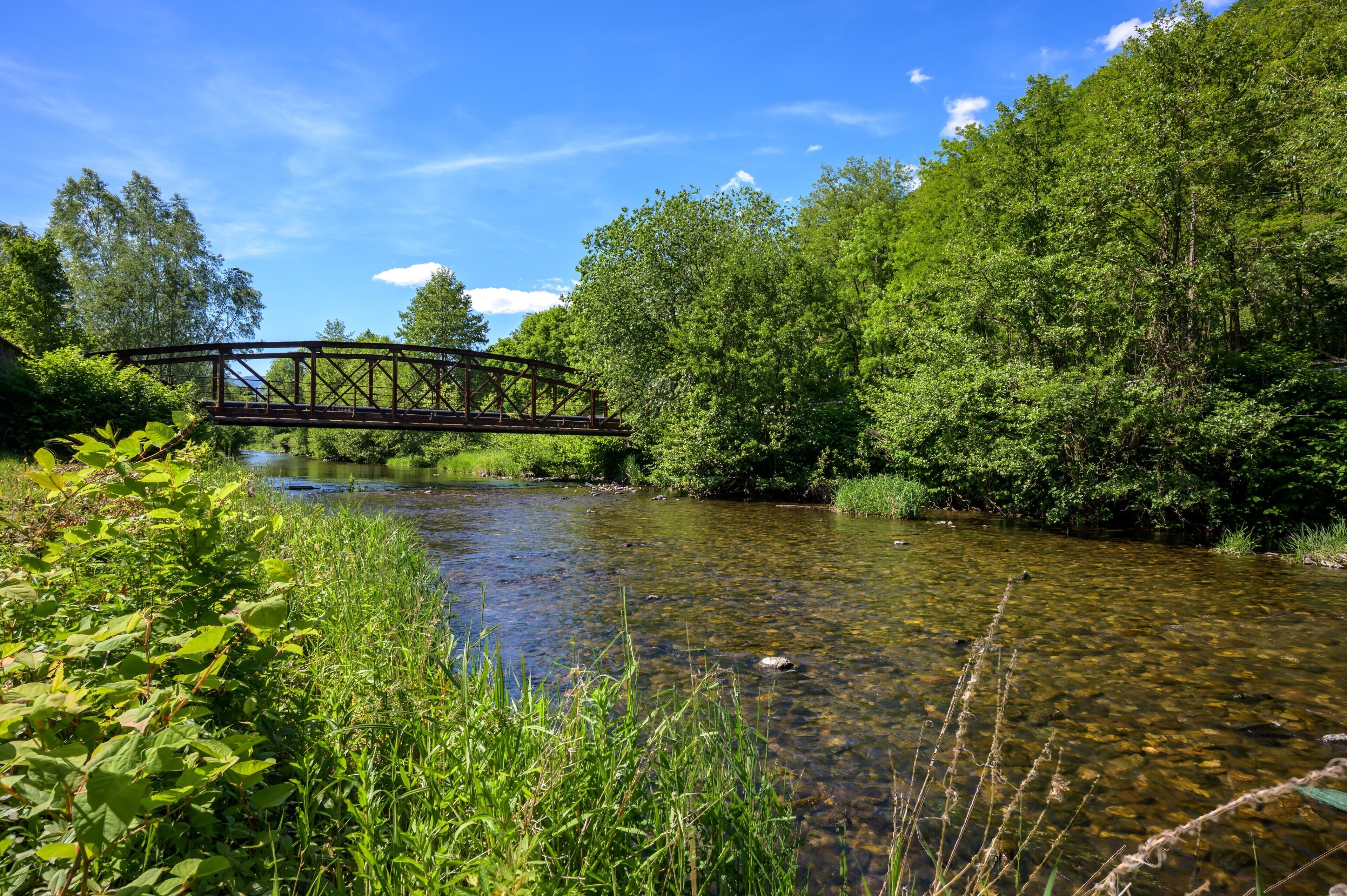 A river with a bridge, surrounded by dense greenery and trees.