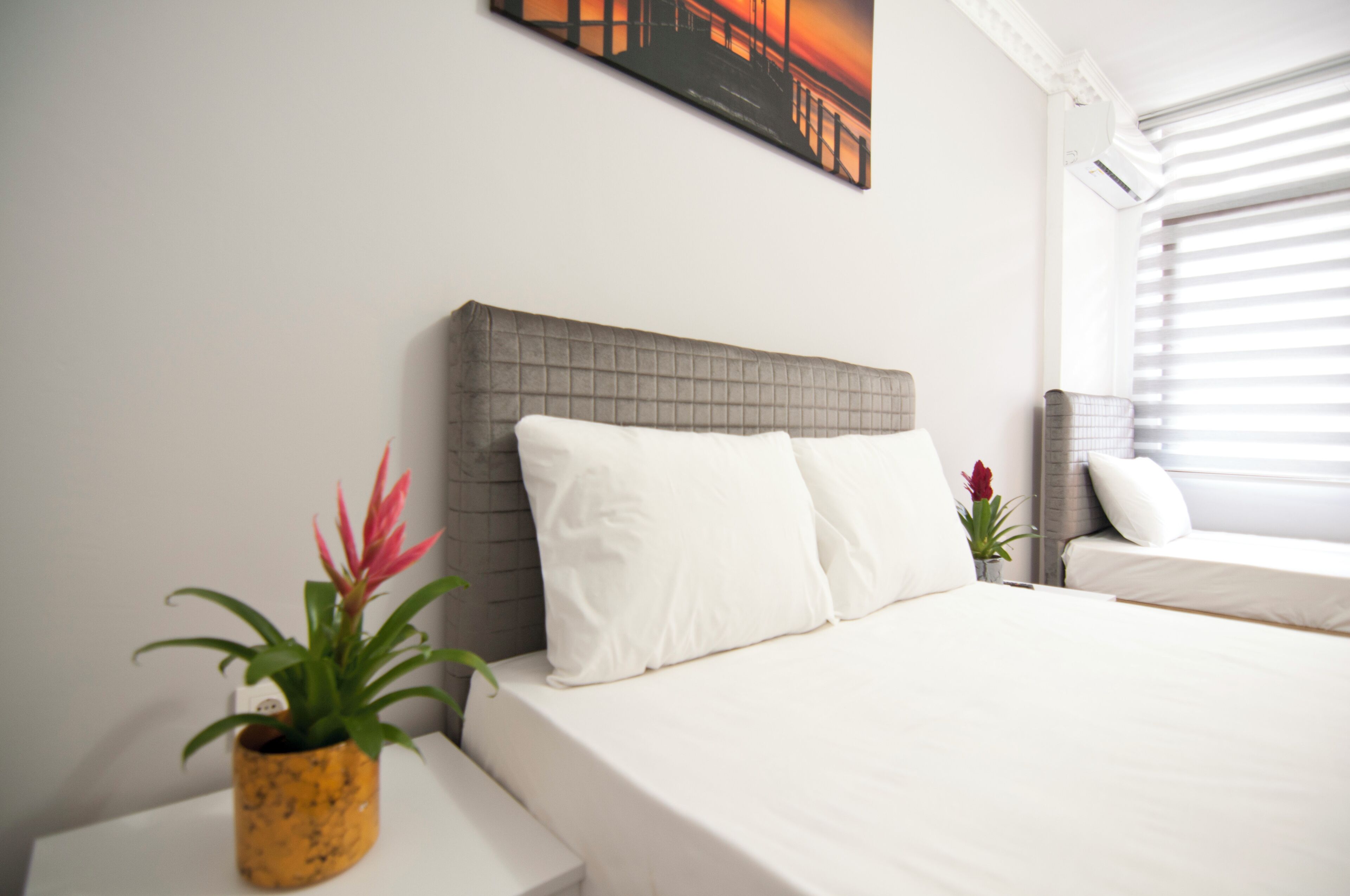 A hotel room with a bed, a bedside table, a potted plant, and a window with blinds.