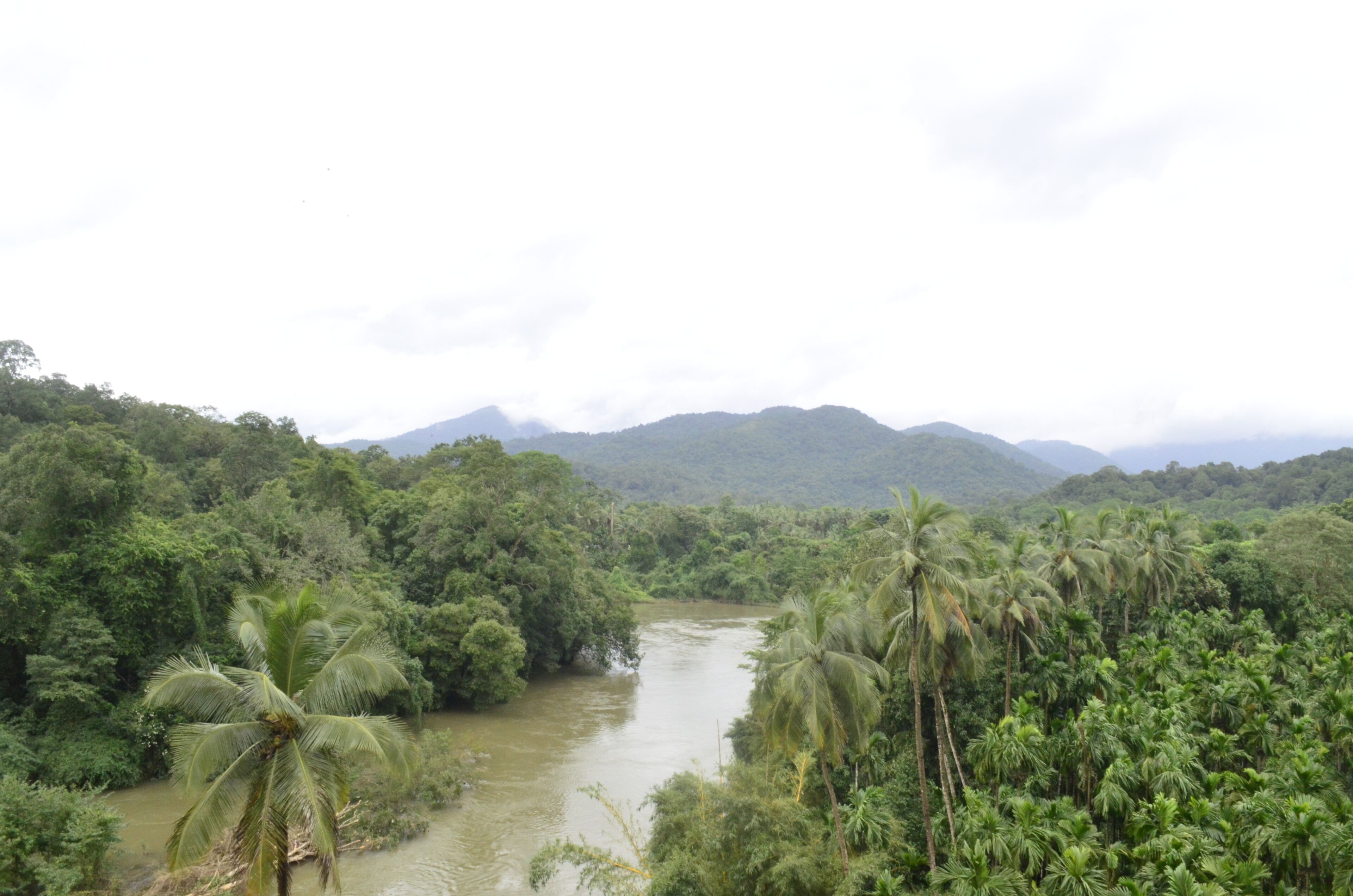 A river surrounded by dense tropical vegetation and mountains in the background.