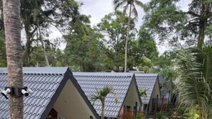 Una hilera de cabañas modernas de estilo A, con un sendero de piedra que las separa.