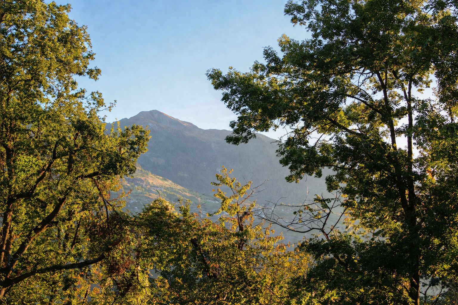 A mountainous landscape with dense foliage in the foreground.